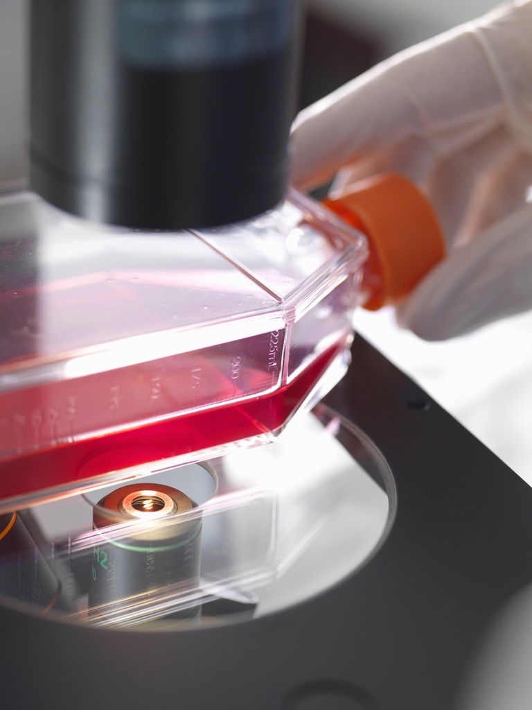 U2OS Cell stably expressing H1 Histamine Receptor, Calcium Biosensor &  β-Arrestin Biosensor