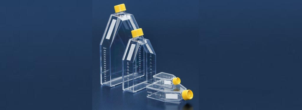 A bottle for cellular breeding 300cm2 / cap with filter
