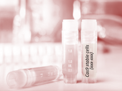 [SA-252CELL-183] Cas9 Stable Cell Line (HEL)