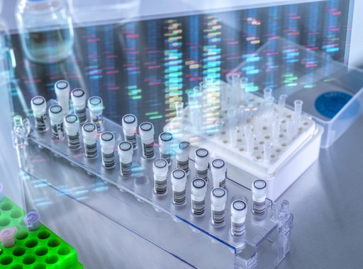 [GEN-BXH1016-3] Human YAP2